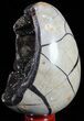 Septarian Dragon Egg Geode - Black Crystals #57398-2